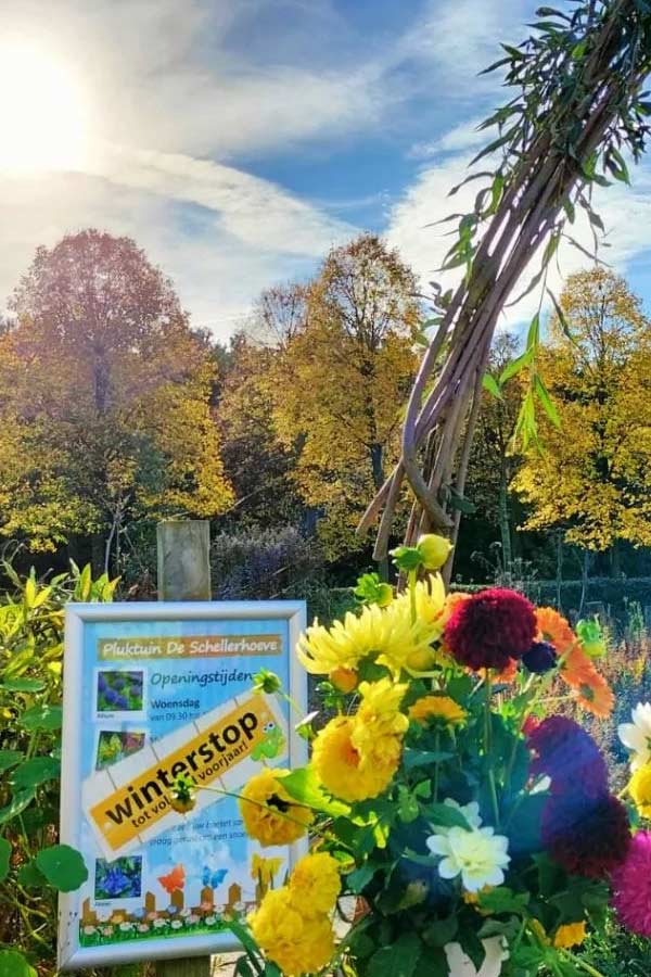 Schellerhoeve Zwolle Zuid.